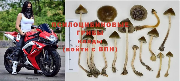 винт Осинники