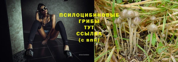 твердый Осташков