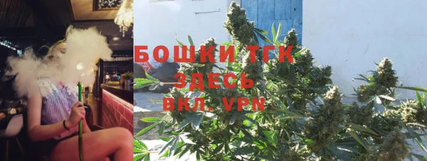 твердый Осташков
