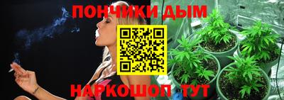 гашик Аргун