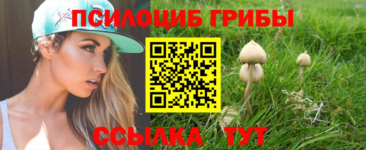 Галлюциногенные грибы GOLDEN TEACHER  Вход с VPN  Апшеронск 