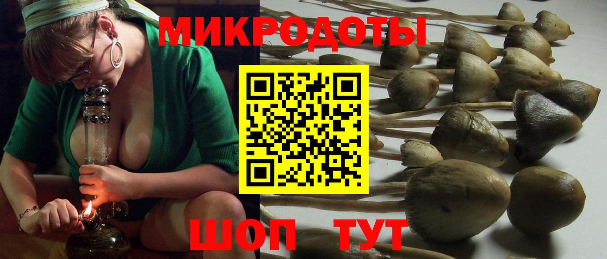 Галлюциногенные грибы MAGIC MUSHROOMS Апшеронск