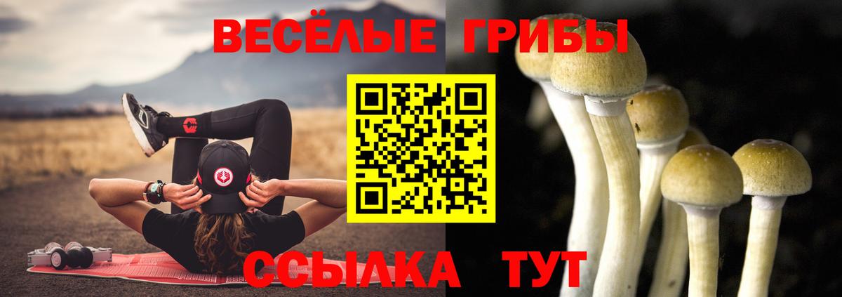 Галлюциногенные грибы Cubensis Апшеронск